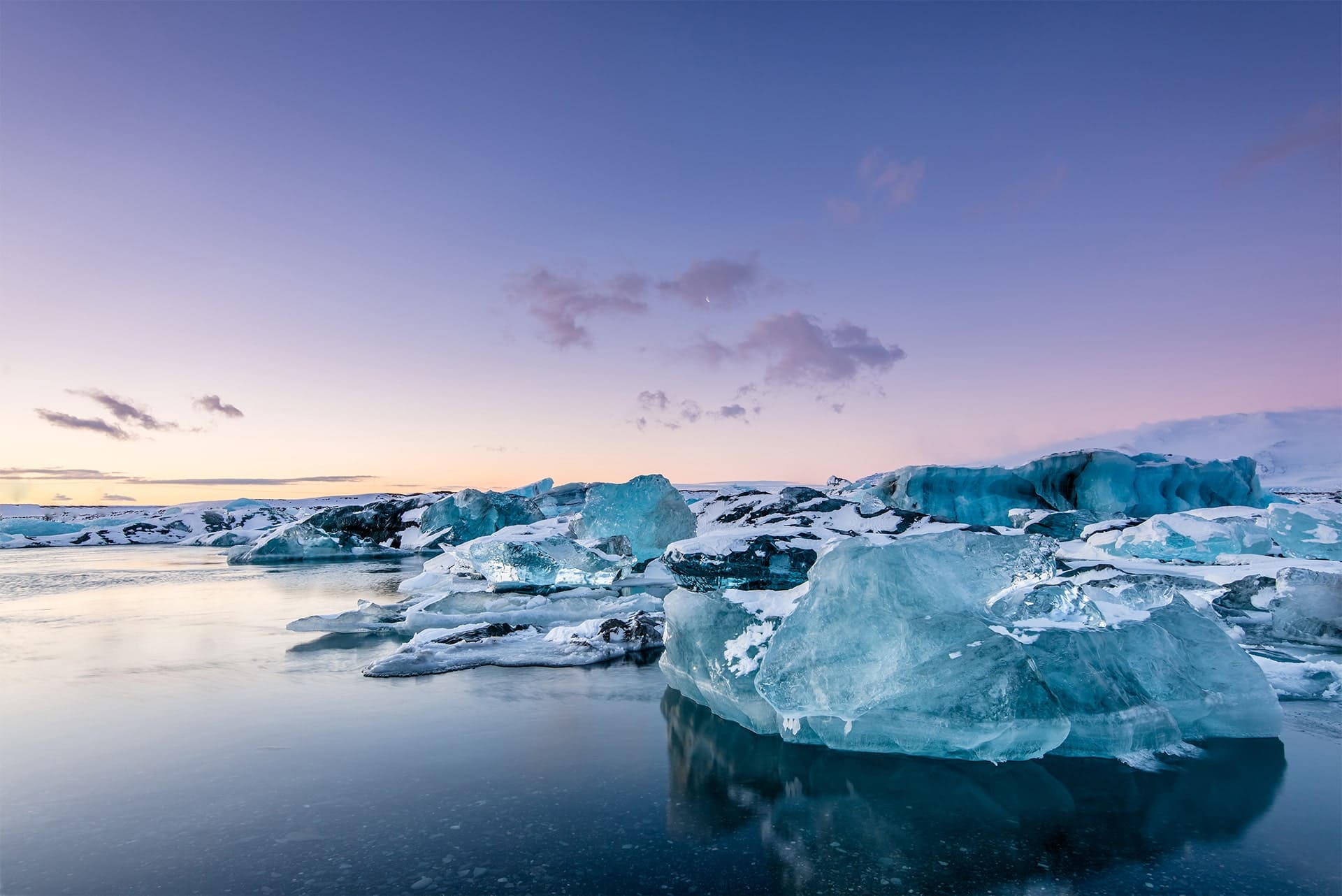 広告と商品販売のスペシャリスト